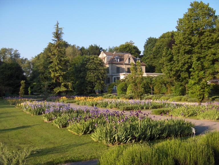 Irisgarten Belvoirpark | garten.ch